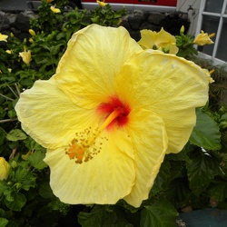 Hawaii 2009