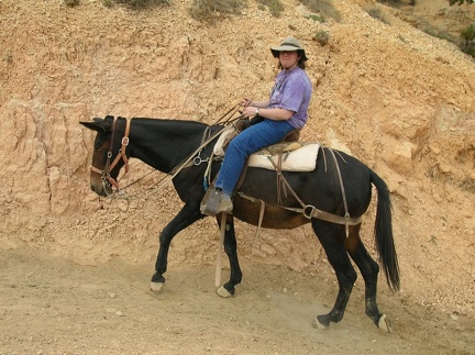 Hiking the canyon in style!