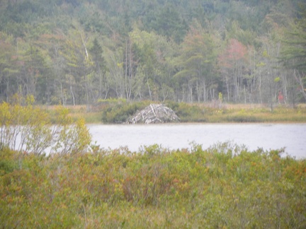 New England - Canada Cruise 171